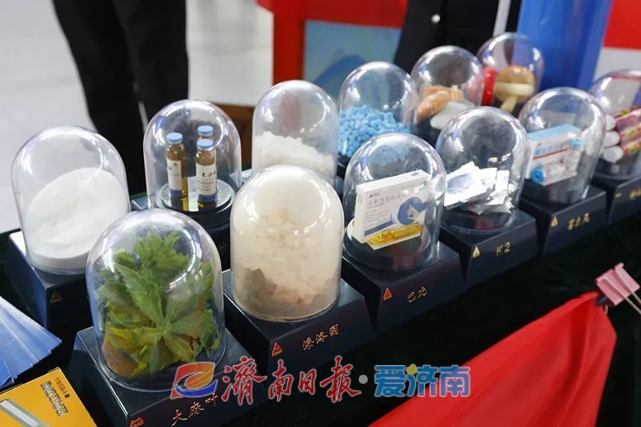 济南公安普法大行动：宪法、身份证、网络安全，你不可不知的法律常识  第11张