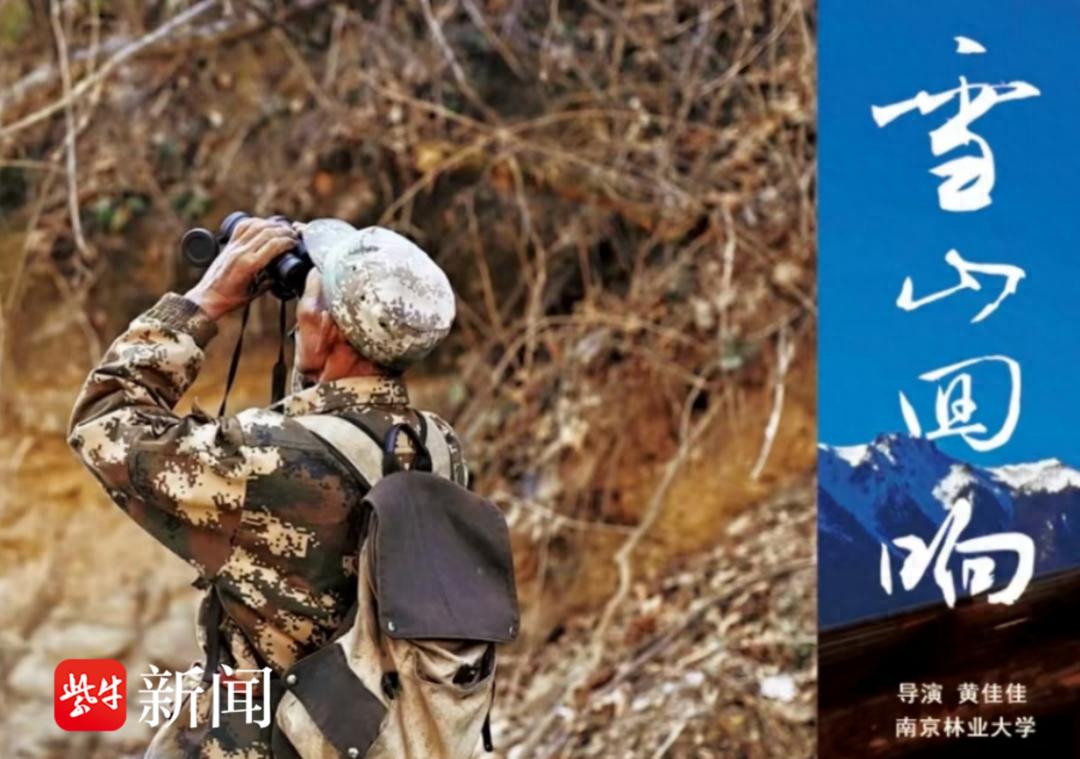 30年守护滇金丝猴：两代人的坚守与传承，感动千万人的真实故事