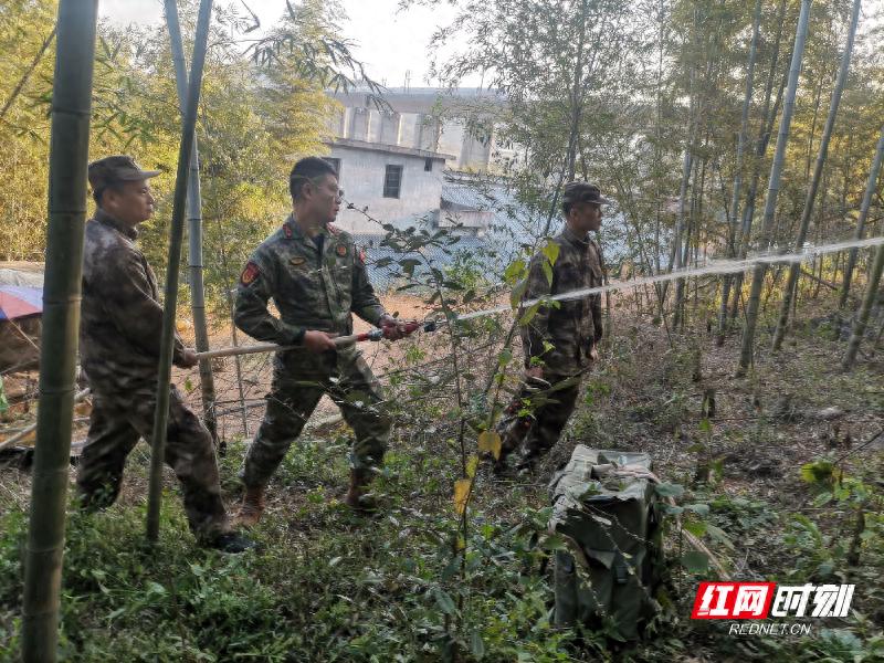 冬季山林防火大作战：20人巡查队如何守护北湖区绿色家园？  第1张