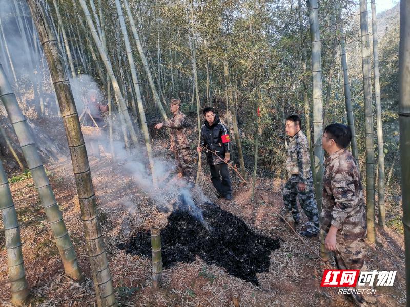 冬季山林防火大作战：20人巡查队如何守护北湖区绿色家园？  第2张