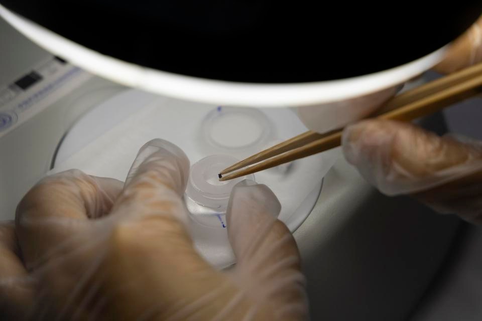 揭秘月球背面古磁场之谜：中国科学家首次获取关键数据  第5张