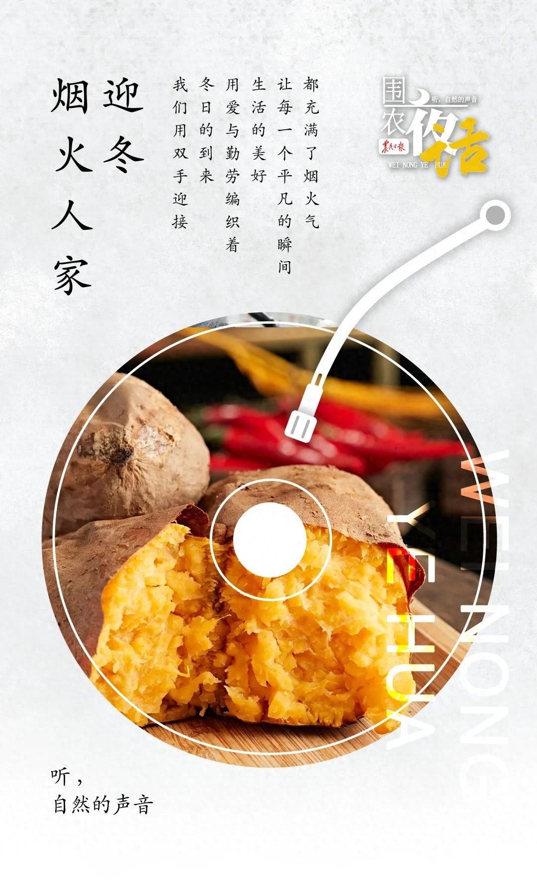 揭秘：一场充满仪式感的越冬战役，看父母如何精心呵护家园