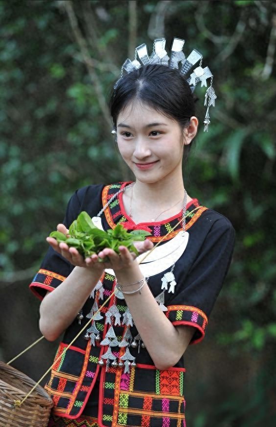 五指山早春茶开采节：揭秘华夏第一早春茶的独特魅力与文化传承  第1张