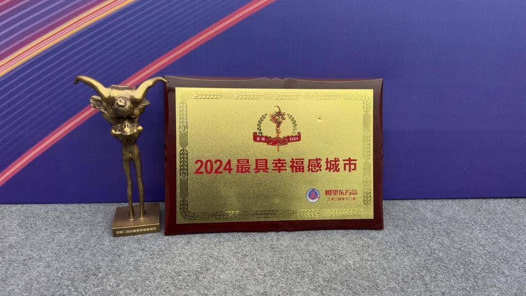 沈阳大连入选2024最具幸福感城市，揭秘背后的幸福密码  第3张