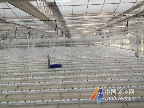 揭秘宁波蛟川现代都市农业园：2.8亿投资，3258亩规划，未来农业新地标  第3张