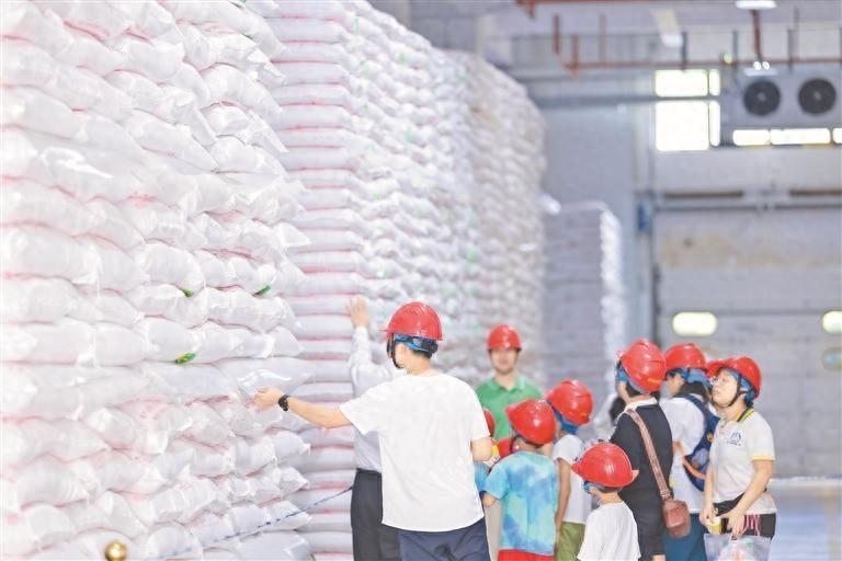 3000 名市民走进深圳粮食储备库，探索粮食安全的秘密  第1张