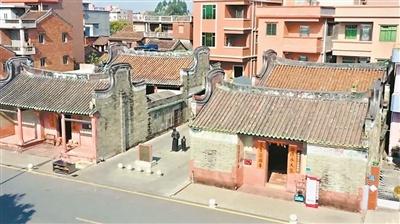 东莞袁隆平陈志坚：60 年坚守，凤冲村水稻试验田的传奇故事  第2张