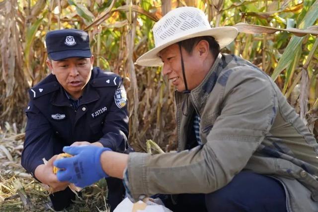 秋收农忙，同心公安护秋模式开启，为丰收保驾护航  第2张