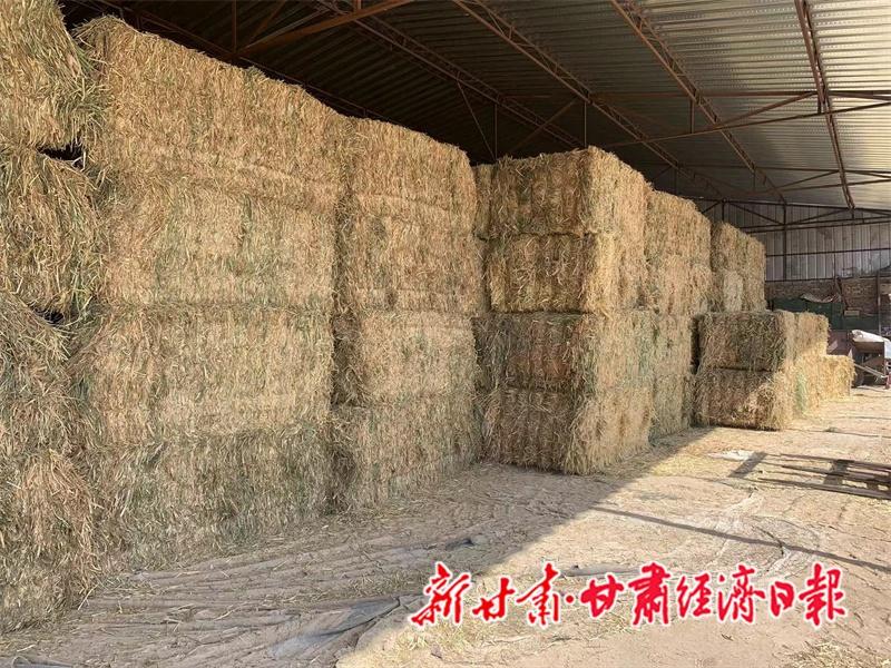永登县秸秆综合利用能力实现质的飞跃，利用率高达 90%以上  第2张