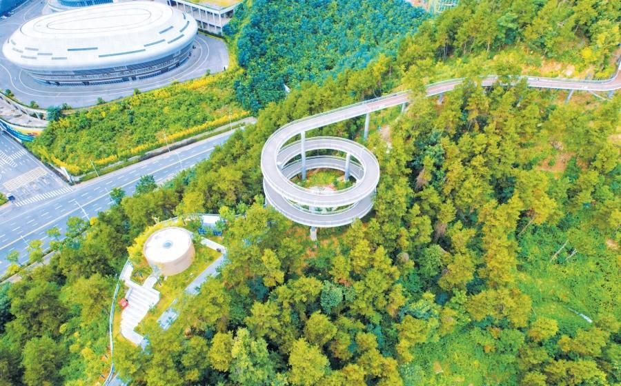十堰健康步道：让市民尽享都市森林的生态之美  第1张