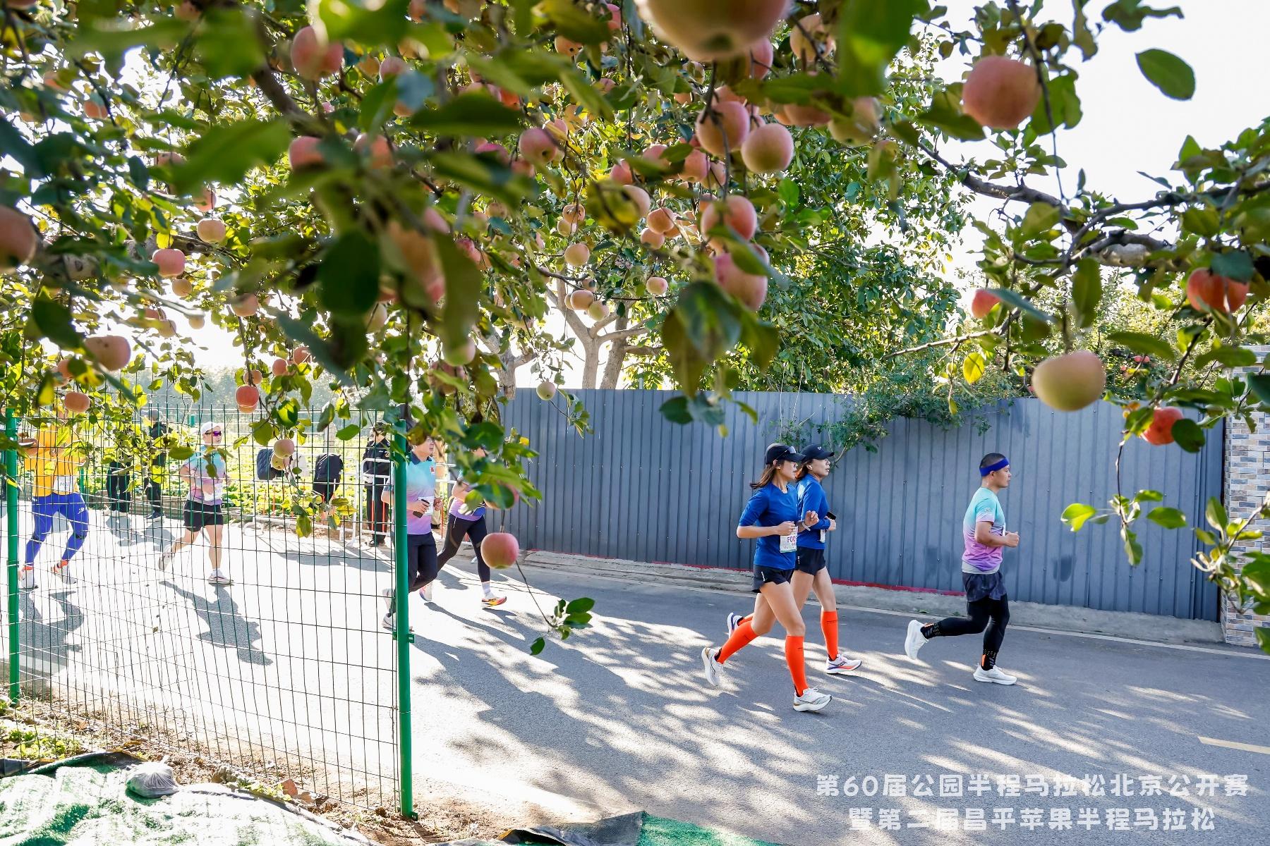 2000 余名马拉松爱好者齐聚，第 60 届公园半马北京公开赛燃情开跑  第3张