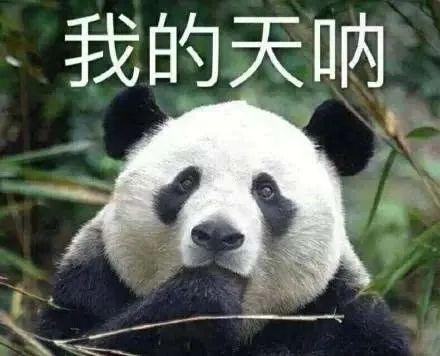 冷空气明天来袭！杭州气温骤降，你准备好了吗？  第1张