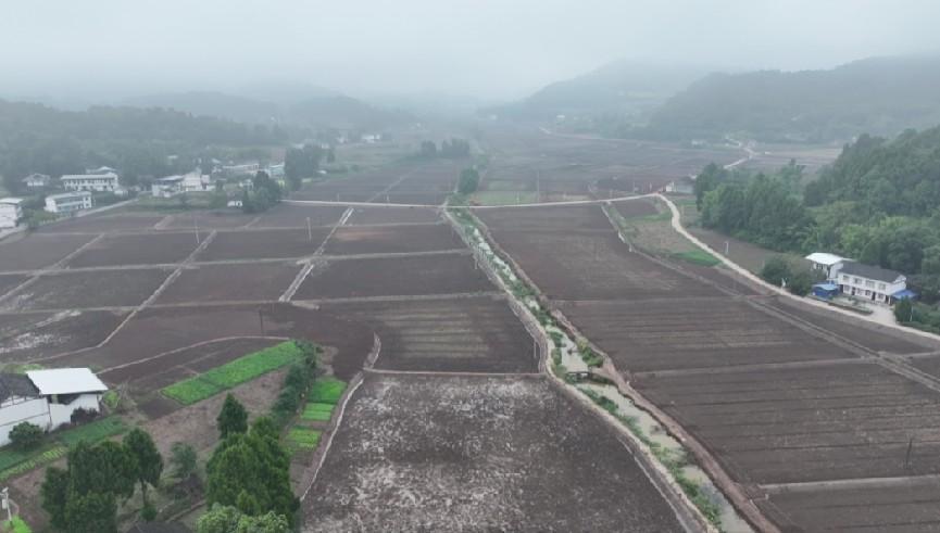 四川南充西充县高效推进高标准农田建设，明年粮食增产有望  第4张