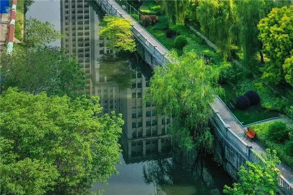 河长全覆盖，守护绿水青山！天宁街道河长制公园，你去过吗？  第6张