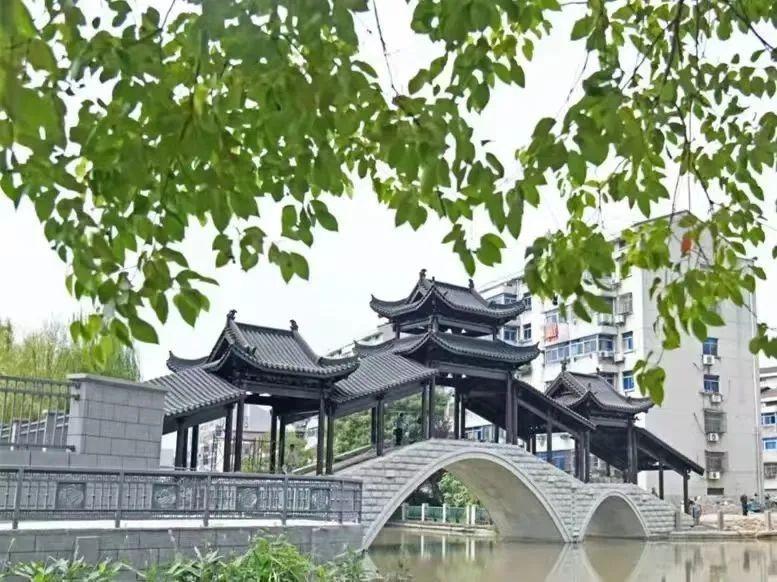 河长全覆盖，守护绿水青山！天宁街道河长制公园，你去过吗？  第7张