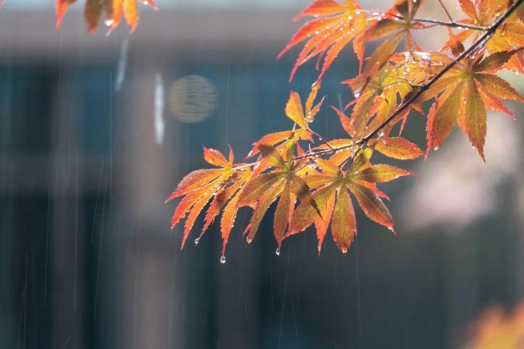 本周天气大反转！雨雪、大风、降温齐上阵，你准备好了吗？  第2张