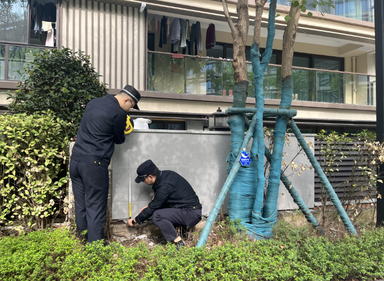 民之所盼必行之！重庆一小区业主侵占公共绿地，执法部门雷霆出击  第3张
