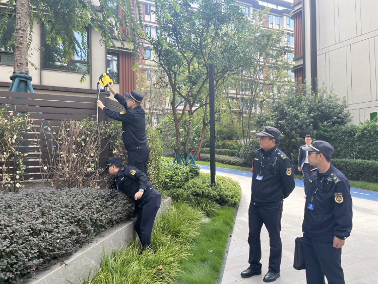 民之所盼必行之！重庆一小区业主侵占公共绿地，执法部门雷霆出击  第4张