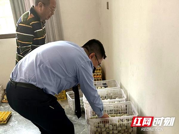 税收助力，新邵县税务局为农业现代化发展贡献税务方案  第3张