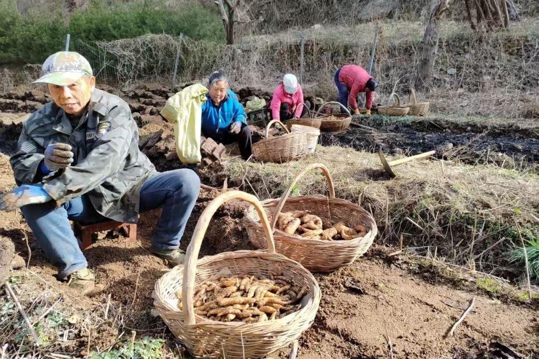 产业、生态、人才、民生帮扶，碑林区勾勒乡村美好生活新画卷