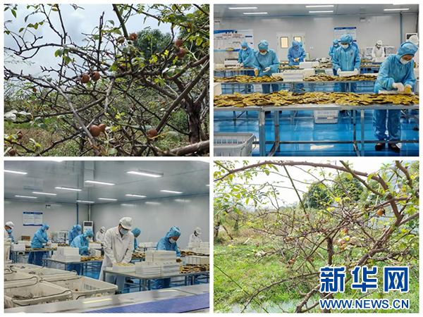 好安顺：逃离喧嚣，探寻宝藏打卡地，体验心灵触动之旅  第5张