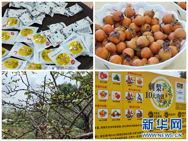 好安顺：逃离喧嚣，探寻宝藏打卡地，体验心灵触动之旅  第6张