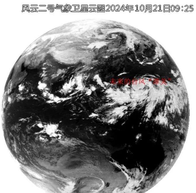 冷空气来袭！浙江气温大跳水，你准备好了吗？  第3张