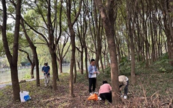 上海绿色防控示范区建设成果斐然，生物多样性调查评估工作全面展开  第1张