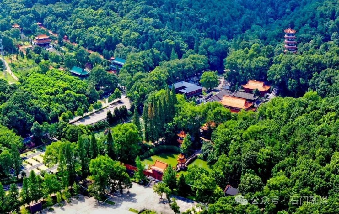 湘佳友约·2024 湖南(常德石门)柑橘节，精品橘旅线路等你来  第4张