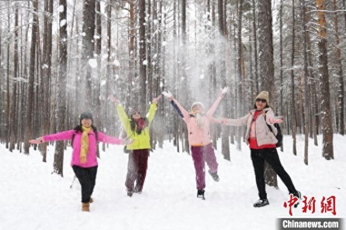 漠河再次迎来暴雪，积雪深度已达 26 厘米，你敢来挑战吗？  第1张