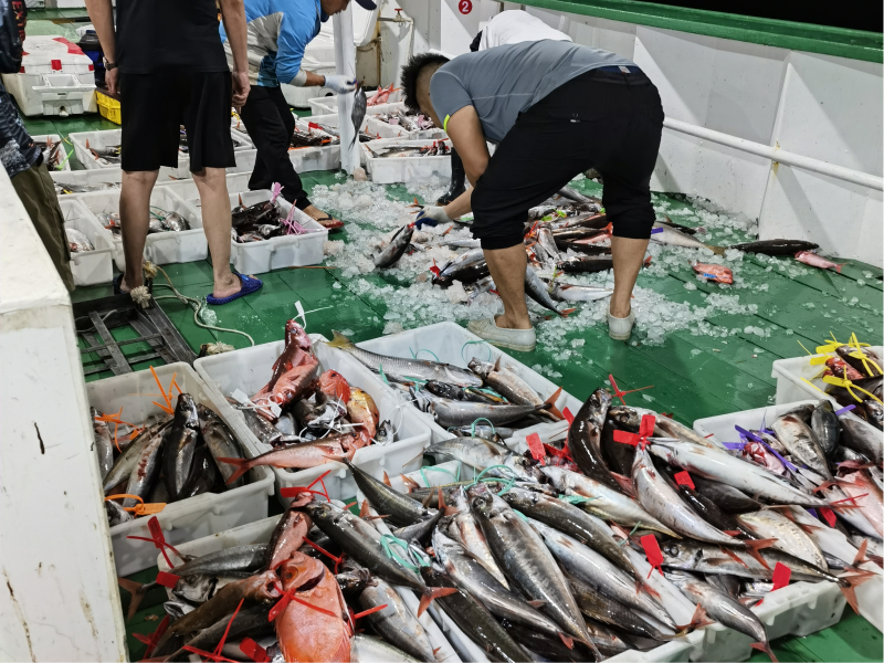 26 人竟在敏感海域做这事，差点酿成大祸  第1张