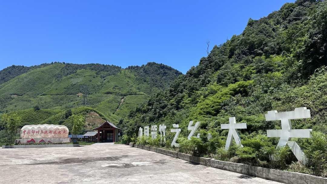 第十九届中国竹业学术大会举办，专家学者齐聚一堂，为竹产业发展建言献策  第3张