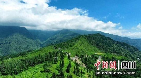 走进汶川县，探寻生态修复背后的故事  第1张