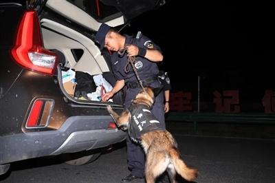 缉毒犬刀锋：从畏高到英勇，7 年破案 28 起，查获毒品近 8 公斤