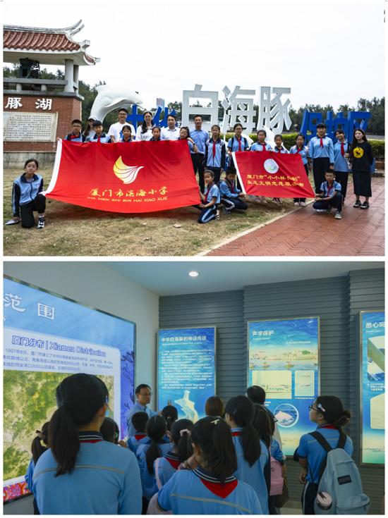 中华白海豚走进校园,生态文明教育再升级 第2张 中华白海豚走进校园,生态文明教育再升级 第2张