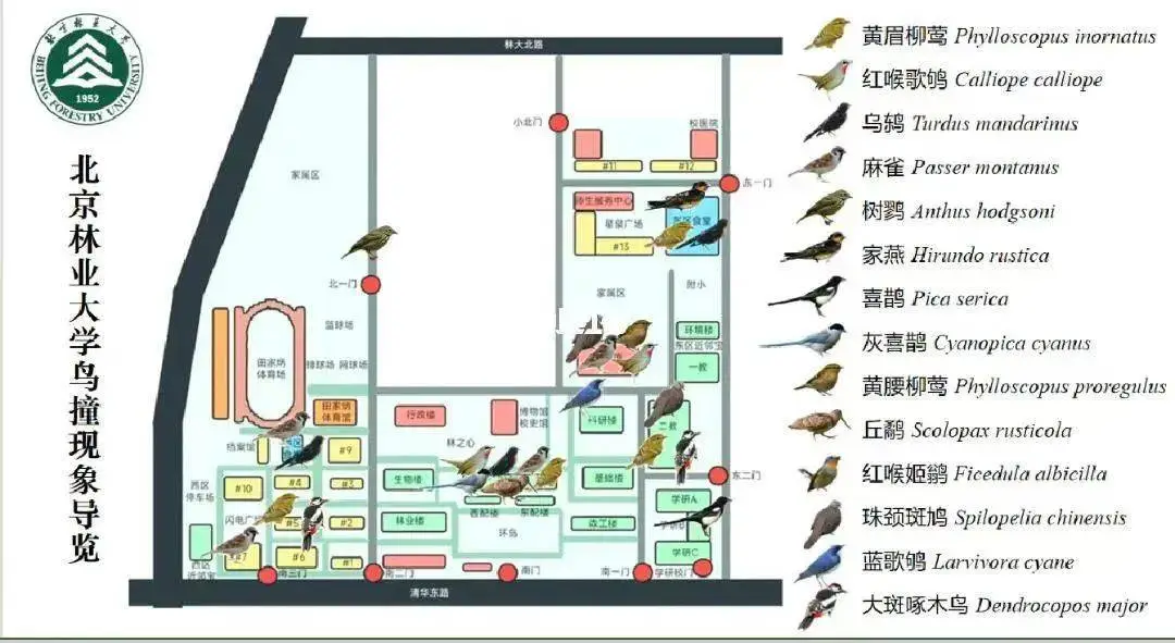 北林大校长为学生的防鸟撞设施改造提议当面请教，这是什么神仙校长  第4张