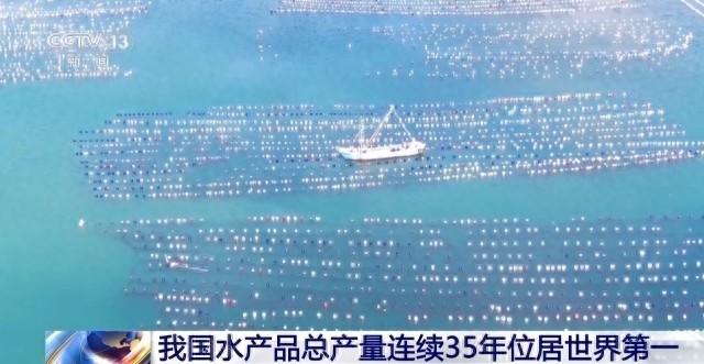 连续 35 年世界第一！我国渔业现代化建设加速推进，水产品总产量惊人  第1张