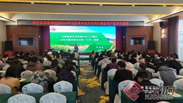 587 名高素质农民，80 名茶叶产业带头人，昌宁县人才强县战略成果斐然