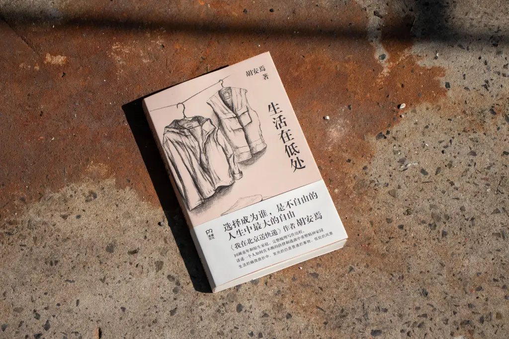 从快递员到作家，胡安焉的 20 年打工路  第4张
