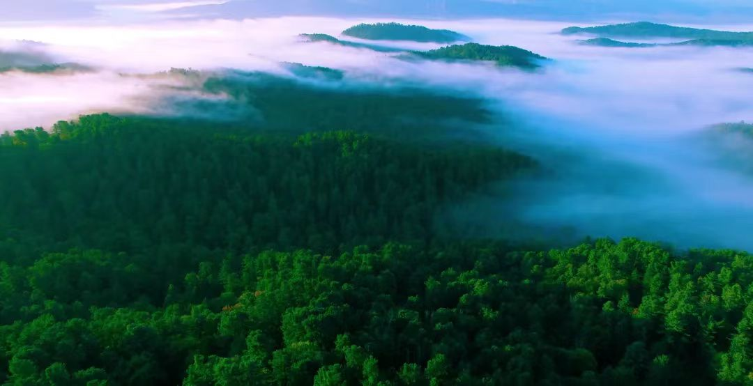 全国首部气象经济蓝皮书正式出版，伊春天然氧吧典型做法入选  第2张