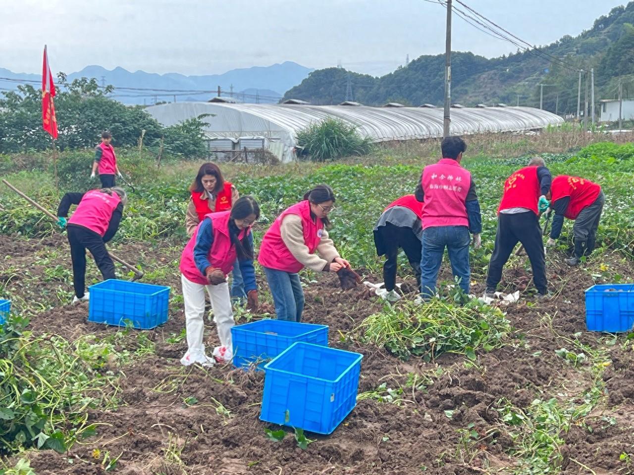 爱心农场助力共同富裕，巾帼共富基金帮扶贫困群体  第1张