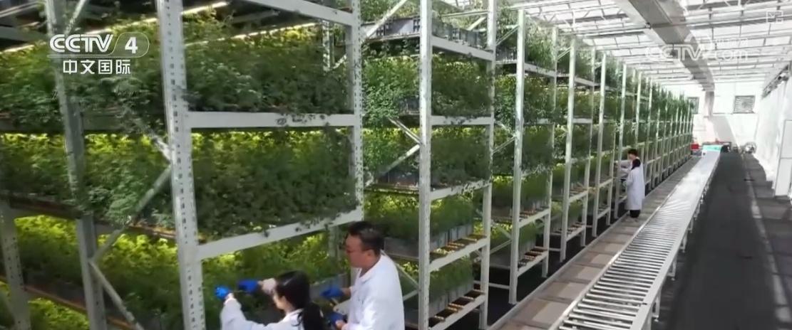 用电量稳步增长！经济活力与产业优化一目了然  第2张