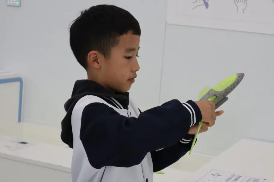 哇塞！小云龙们的十一月探索之旅，你绝对不能错过  第6张