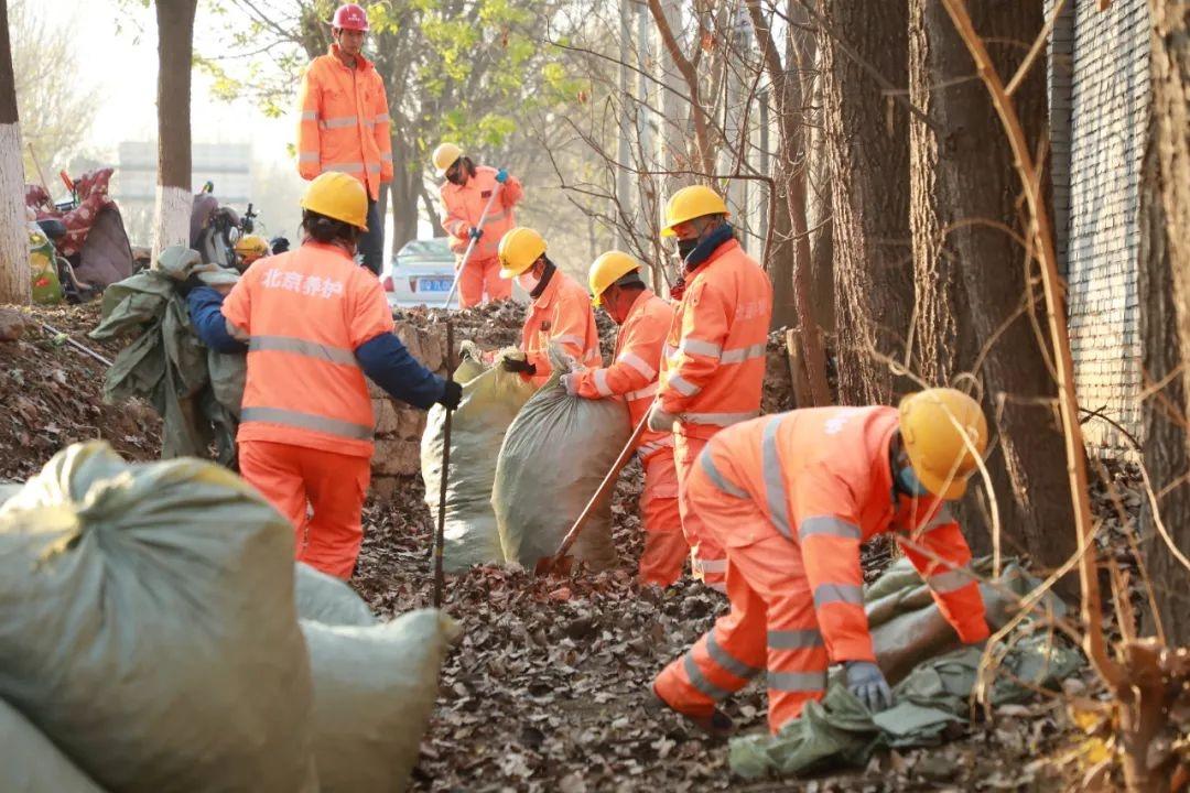 落叶高峰期，平谷公路分局如何保障路域安全畅通？  第3张