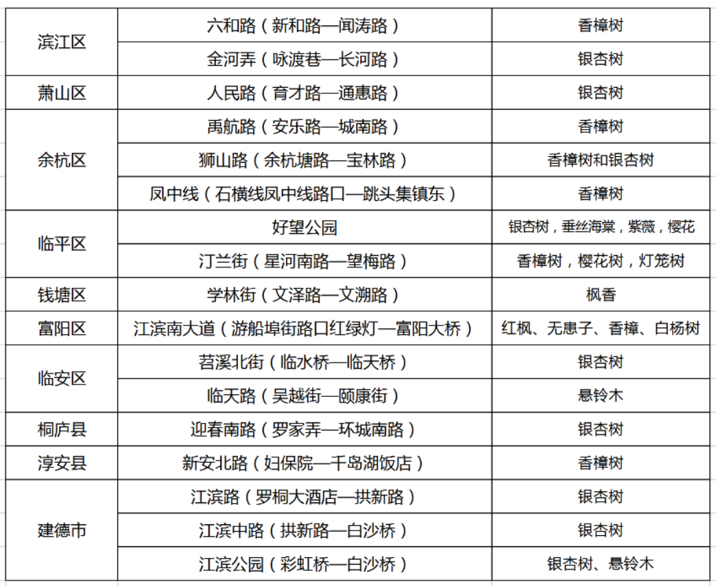 杭州开启落叶不扫模式，44 条景观道路等你来赏秋  第2张