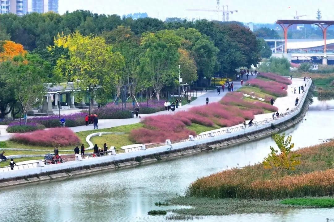 德阳旌湖绿道全线贯通！19 公里美景等你来打卡  第1张