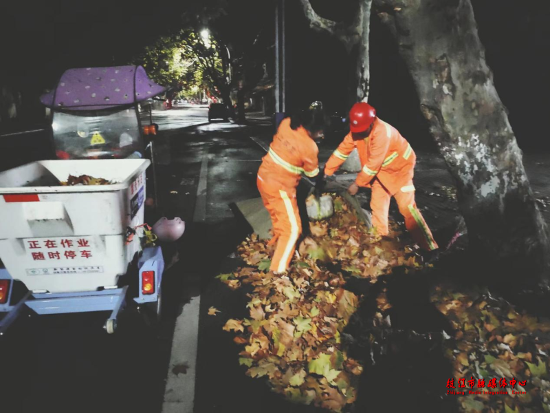 秋冬季节，城市金黄海洋背后的默默付出者——环卫工人  第2张