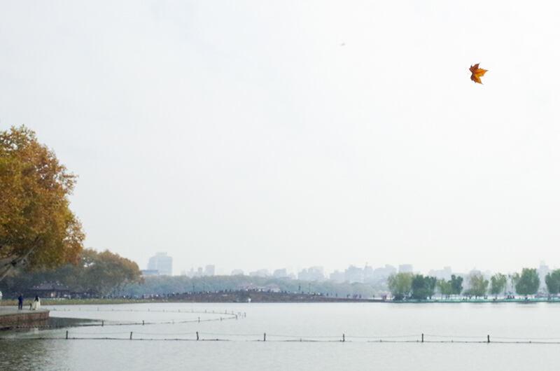 杭州北山街秋色正浓，落叶不扫模式开启，快去打卡吧  第3张