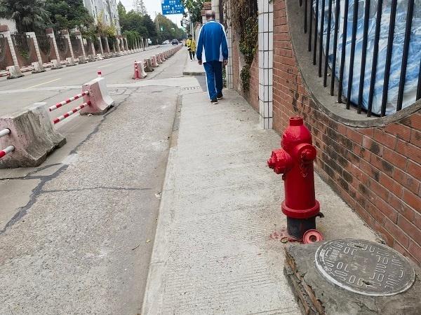 浦东新区康桥镇 1.8 公里康花路，几十年没有人行道，市民出行安全隐患大  第4张