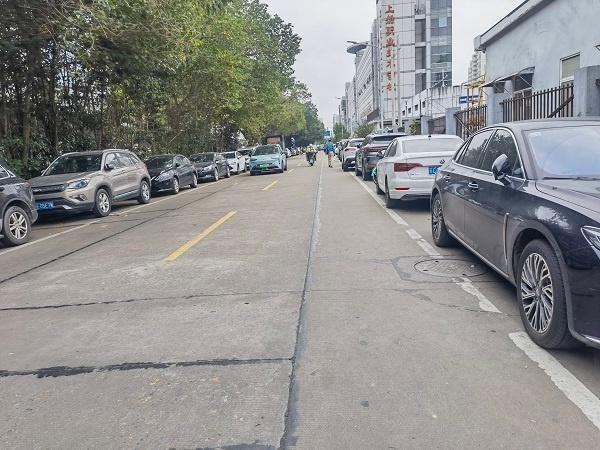 浦东新区康桥镇 1.8 公里康花路，几十年没有人行道，市民出行安全隐患大  第6张